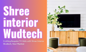 Crafting Bespoke TV Units with Shree Interior Wudtech, Navi Mumbai